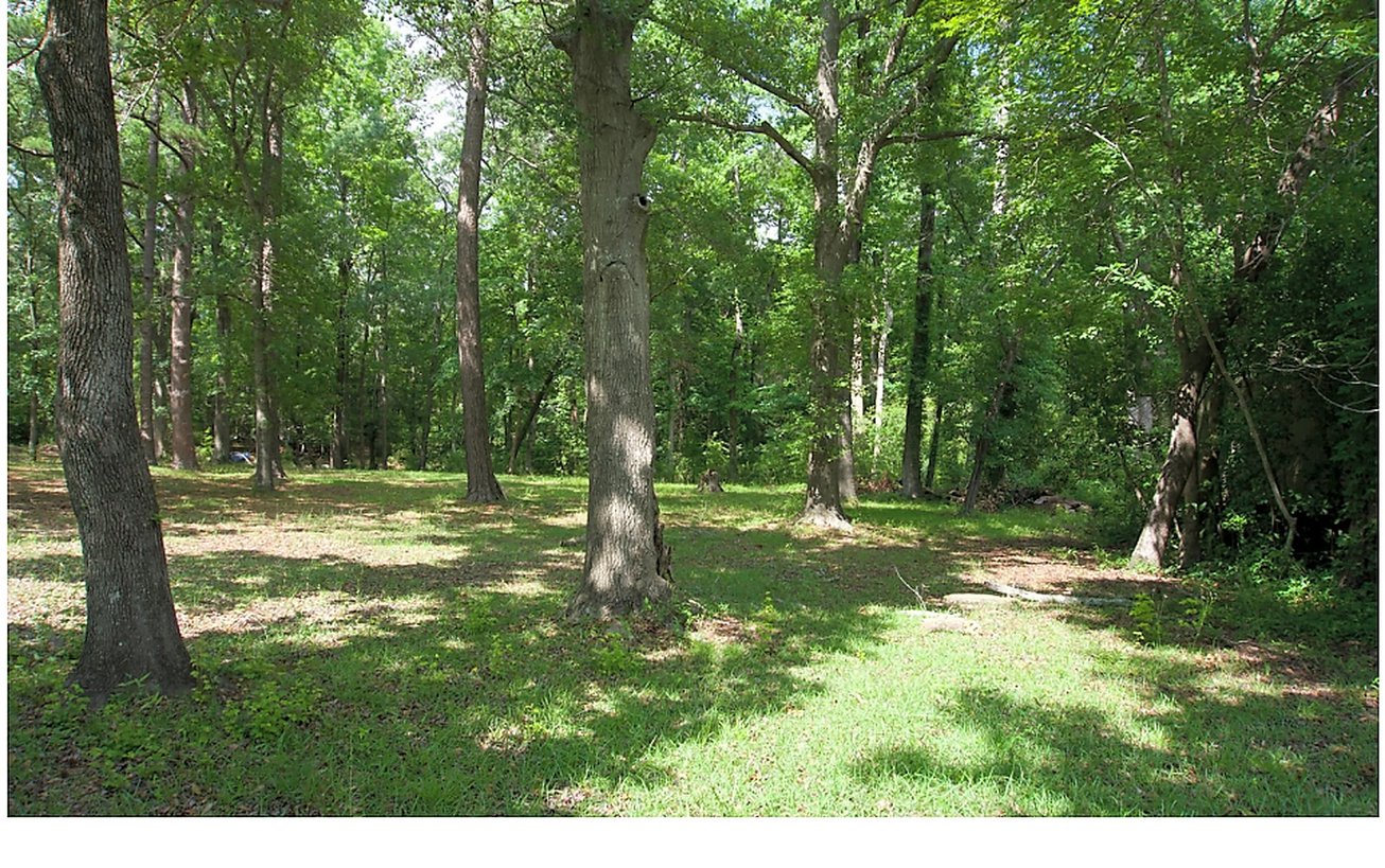 1628 Leland School Rd. NE, Leland, NC, For Sale, Image-1