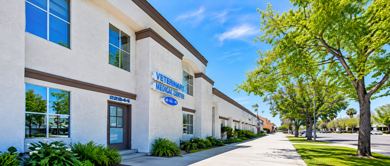22554 Ventura Blvd, Woodland Hills, CA, For Lease, Image-4