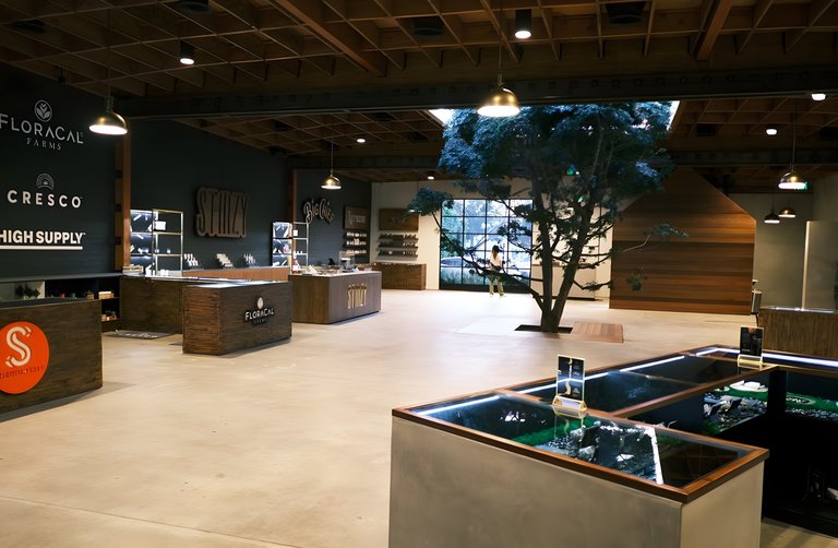 2304 Sawtelle Boulevard, Los Angeles, CA, For Lease, Image-2
