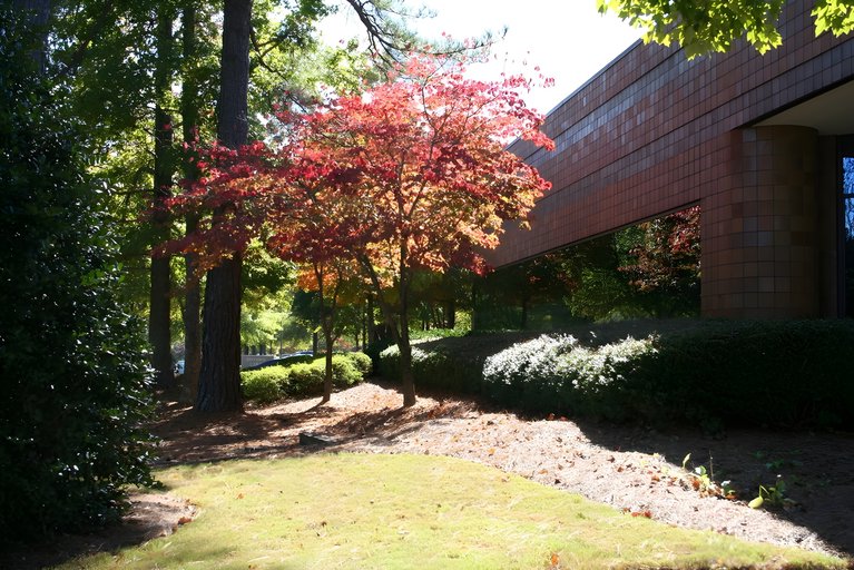 1111 Alderman Dr, Alpharetta, GA, For Lease, Image-5