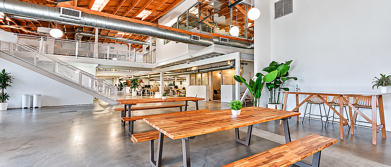 523 Victoria Avenue, Venice, CA, For Lease, Image-5