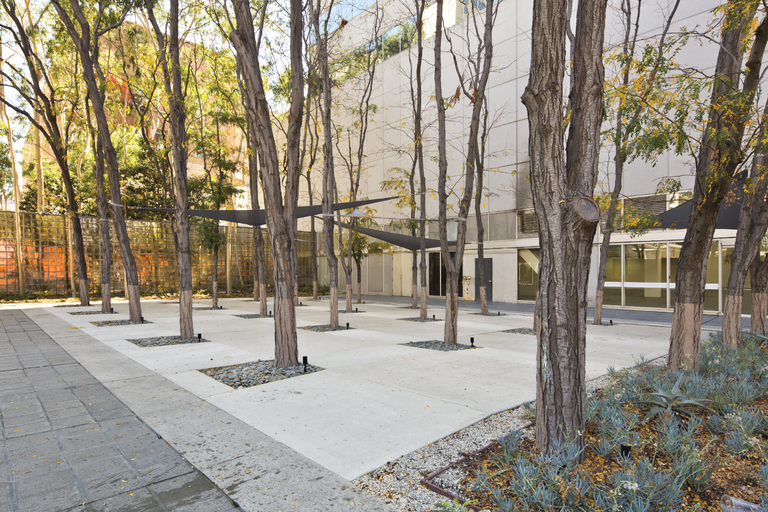 550 South Hill Street, Los Angeles, CA, For Lease, Image-5