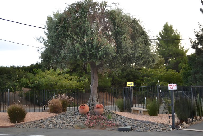 5598 Entrada Cedros, Suite 30, San Jose, CA, For Lease, Image-8