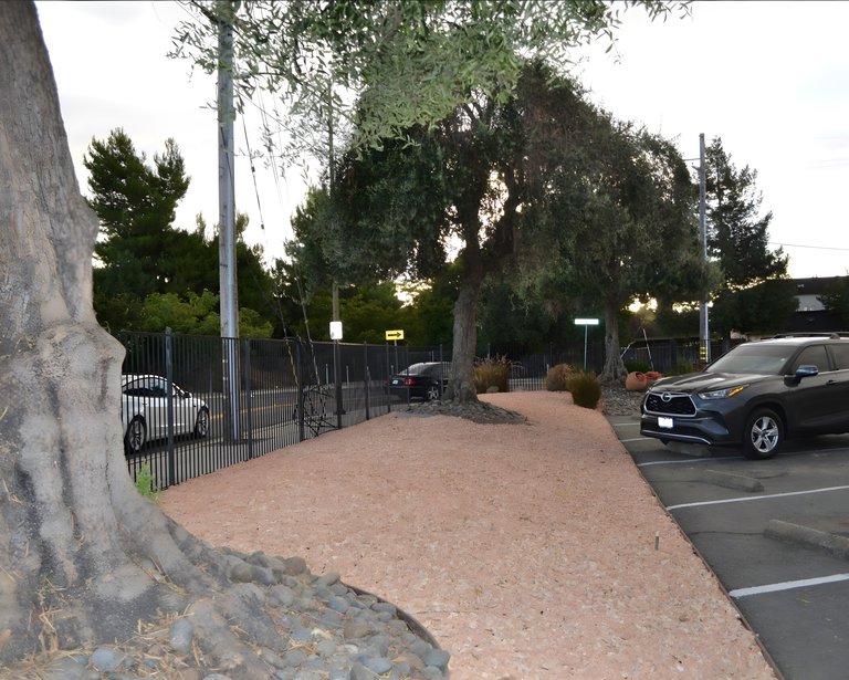 5598 Entrada Cedros, Suite 30, San Jose, CA, For Lease, Image-25