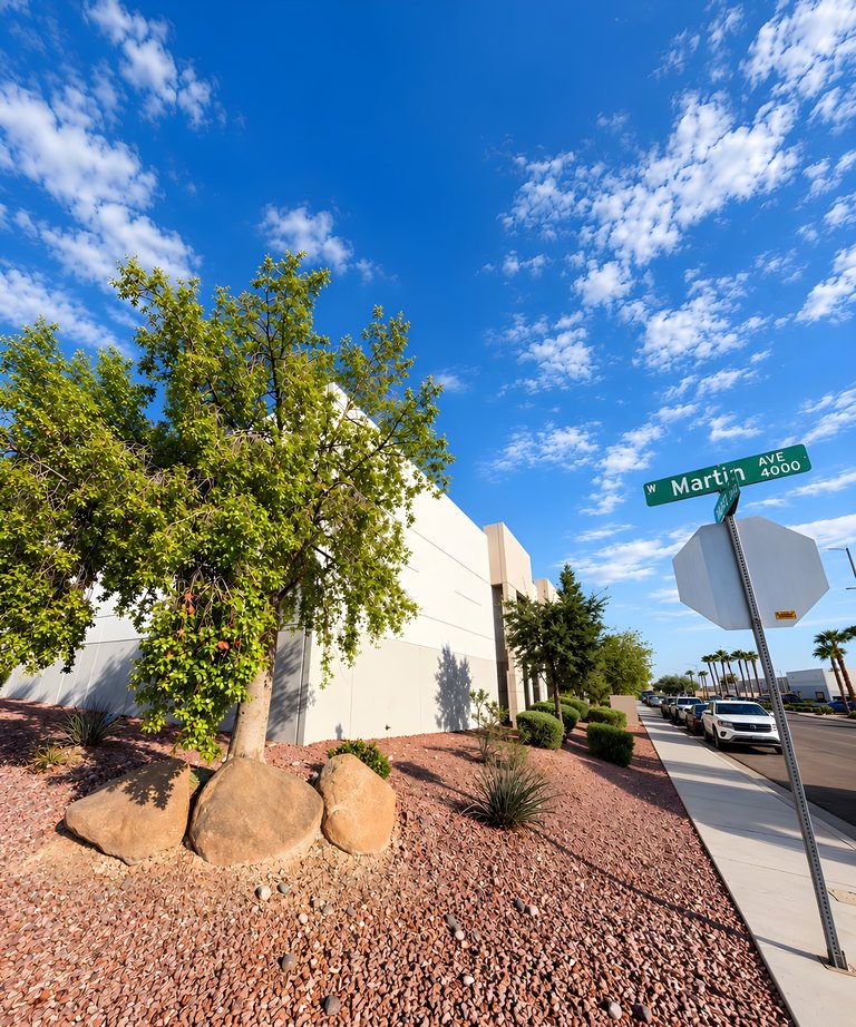 6683 Schuster Street, Las Vegas, NV, For Lease, Image-3