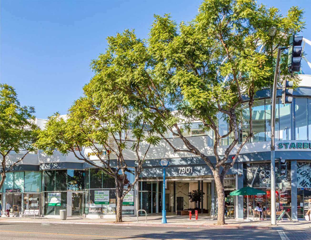 7901–7913 Santa Monica Boulevard Retail