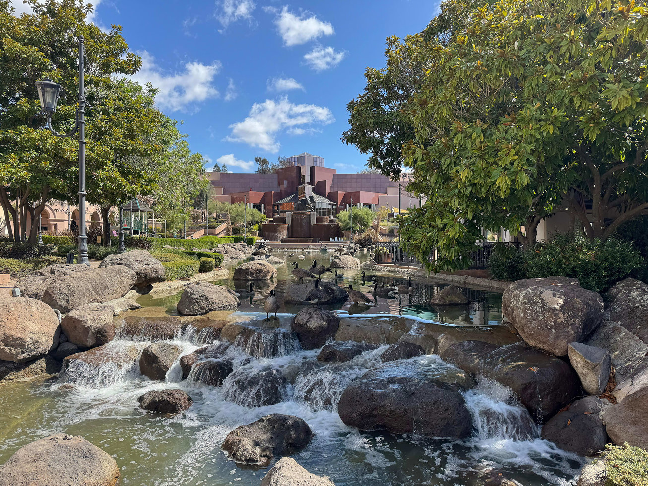 3380 Blackhawk Plaza, Danville, CA, For Sale, Image-2