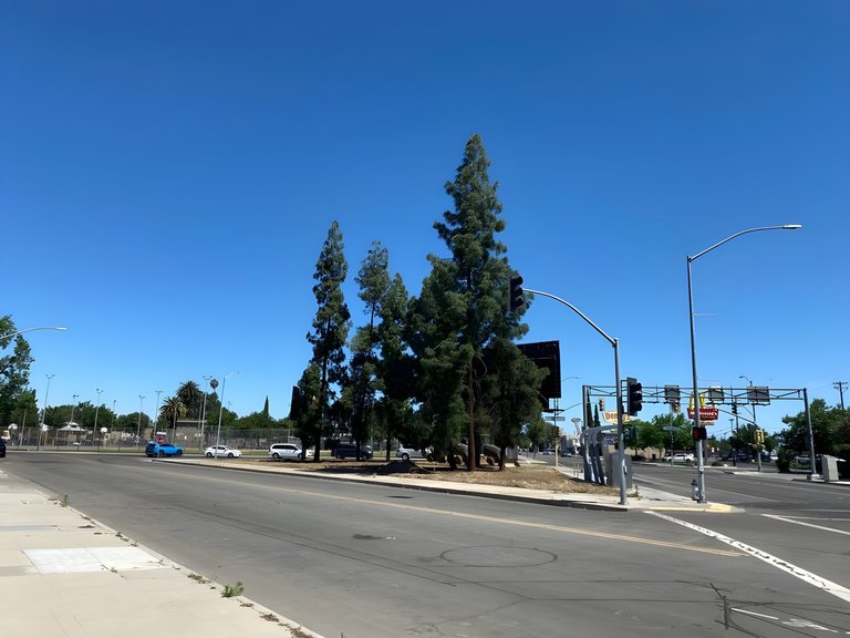 75 N Blackstone Ave, Fresno, CA, For Lease, Image-4