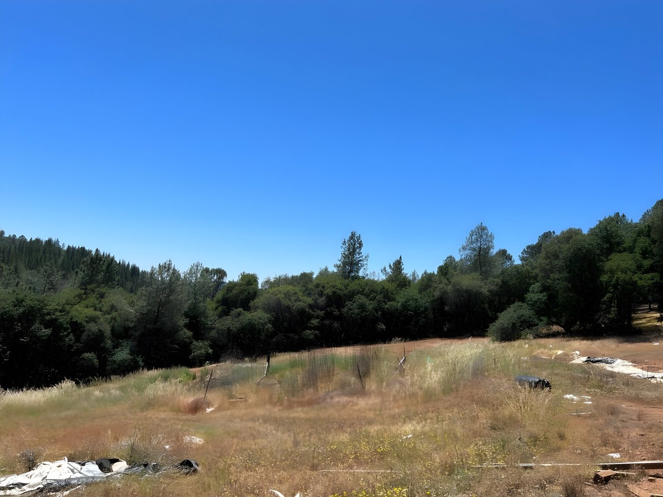 15175 Middle Ponderosa Way, Brownsville, CA, For Sale, Image-2