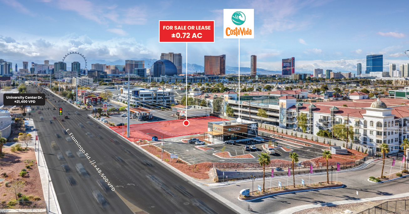 NEC Flamingo Rd. & University Center Land/Development