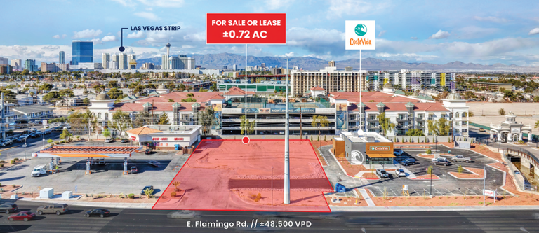 NEC Flamingo Rd. & University Center, Las Vegas, NV, For Lease, Image-1