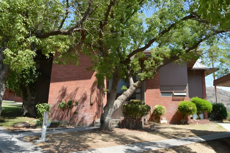35800 CA-190, Springville, CA, For Lease, Image-15