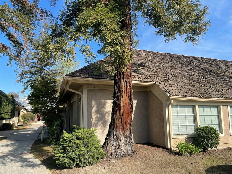 4930 E Yale Ave, Fresno, CA, For Lease, Image-9
