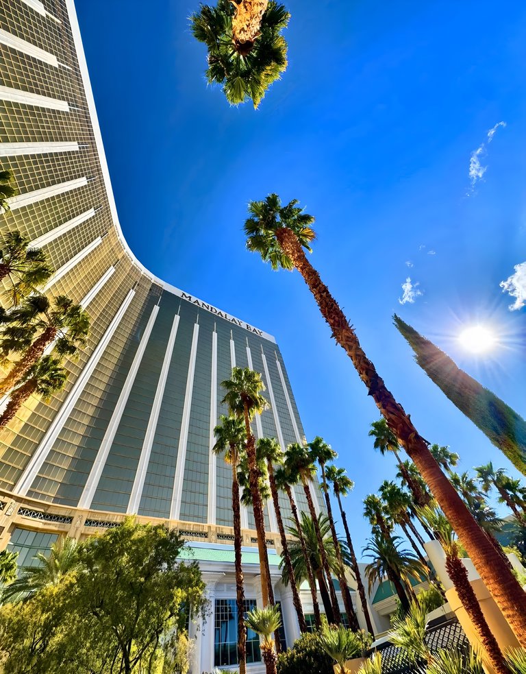 3950 Las Vegas Blvd S, Las Vegas, NV, For Lease, Image-2