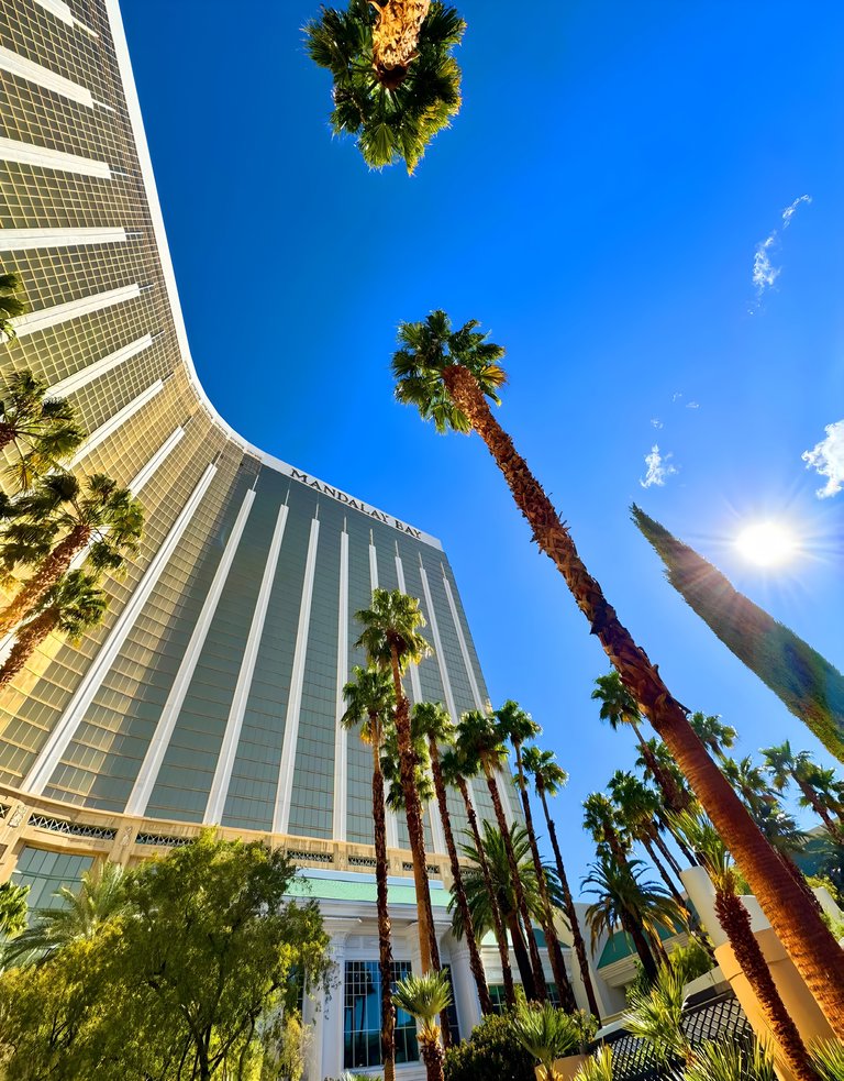 3950 Las Vegas Blvd S, Las Vegas, NV, For Lease, Image-3